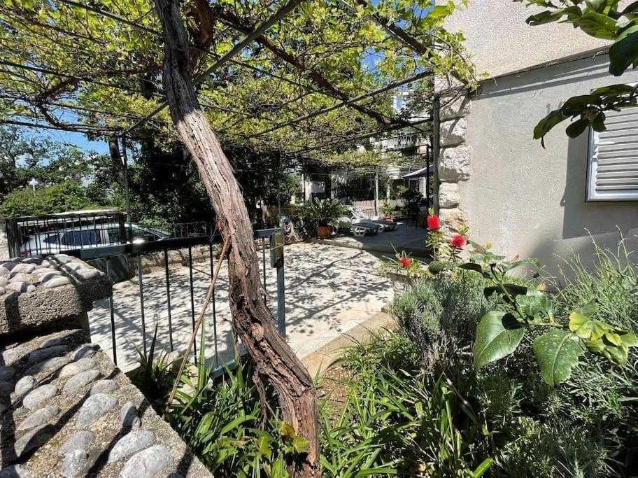 Apartment Nono Moj Dubrovnik Exterior photo
